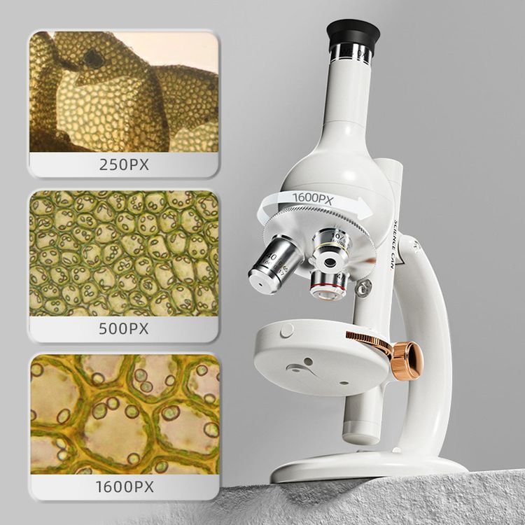 Microscope Lab Edition - Image 4